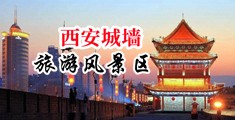 抠逼喷水抽搐1080p中国陕西-西安城墙旅游风景区