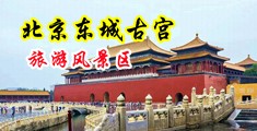 jk女生扒开给男生操中国北京-东城古宫旅游风景区