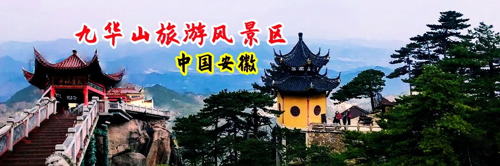 肏白丝视频