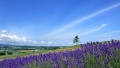 东北尻逼日本一地6日游  境外旅游 6880元/人